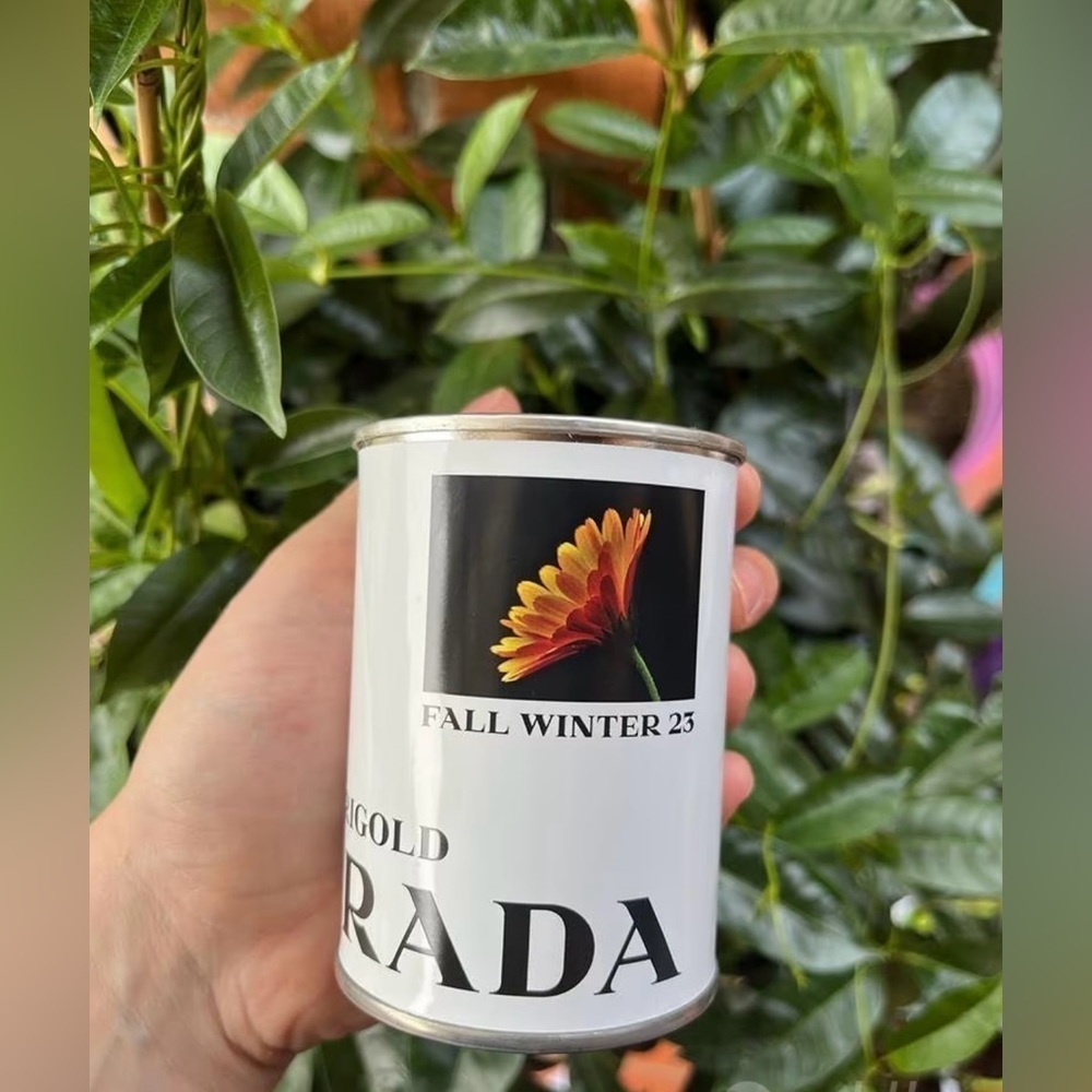 PRADA In Conversation With A Flower: MariGold Can Of Seed New Unopened